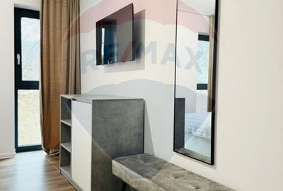 Vanzare Vila la munte - 16