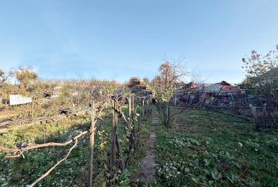 Casa de vanzare in Iosia, strada deosebita, teren 510 mp, Oradea,Bihor - 4