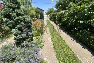 BELCIUGATELE- Casă de vacanță sau locuință permanentă - 31