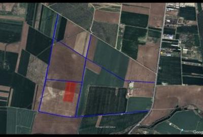 Teren agricol extravilan de 50000 mp, în Snagov