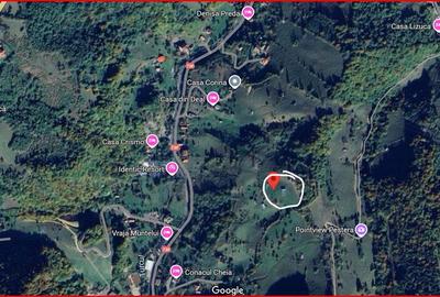 Teren, Zona de Interes Turistic-Cheile Gradistei,  8800mp - 3