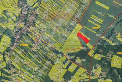 Teren Bran Sohodol - 11089, extravilan - 4