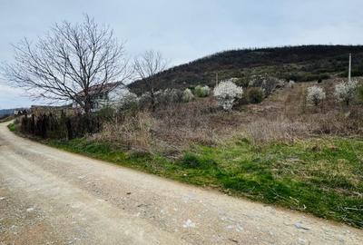 AV644 Teren intravilan, BERZASCA-DUNARE, 6042mp, posibilitate investitie turism - 4