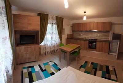 Apartament cu 1 camera in Nicolina-Lidl,bloc nou - 1