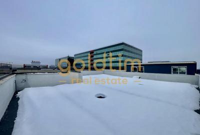 SPATII GENEROASE/PENTHOUSE CU GARDEN FLOOR/ 372 mp utili/PORSCHE NORD - 48