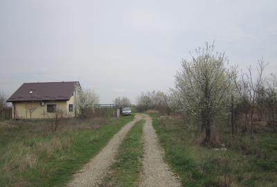 Teghes-Caminului - 8