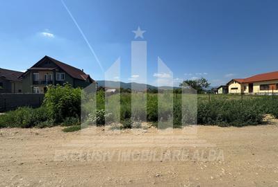 Teren Construcții intravilan de 4000 mp, în Cetate