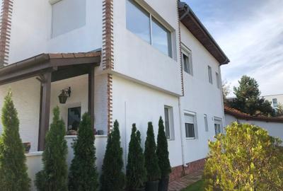 Vila deosebita 11 camere Erou Iancu Nicolae - 1