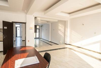 Spatiu Birouri 400 mp in VIla zona Tei - 4