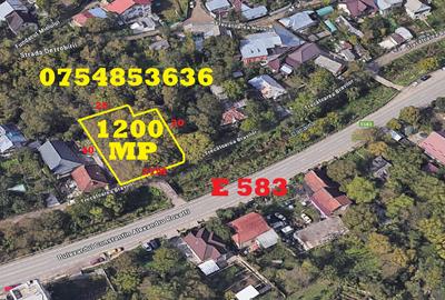 TICAU-SEMICENTRAL  , 1200 mp -oportunitate investitie / dezvoltare afacere - 1