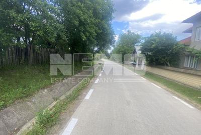 Teren Intravilan | 44.5 Ari | Burla - 4