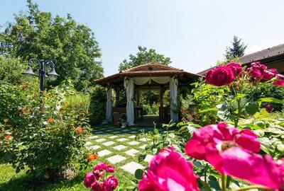 Hotel Bielmann,unicitate si profitabilitate optima in turism,Sanpetru, Brasov - 20