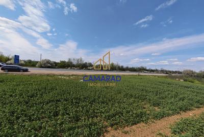 Teren intravilan 11.225 mp | Popești-Leordeni | Sos. de Centura - 4
