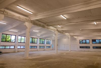 Hală industrială cu multiple destinații în Nădlac - 34