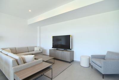 Apartament la inchiriat in imobil nou-Zona Soarelui Timisoara - 4