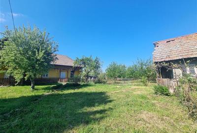 Teren intravilan de vanzare 14900 mp, 43m deschidere  Mureseni, Mures - 4