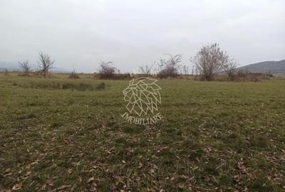 Teren 19611 mp (1,96 Ha)-ideal agricultura, investitie-Zona Aerodrom - 2