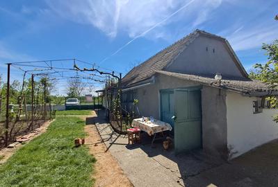 Valcani, proprietate cu casa taraneasca - 13
