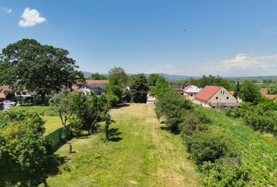 Teren Intravilan 1.251 mp în Rotbav (Brașov) – Toate utilitățile, acces asfaltat - 4