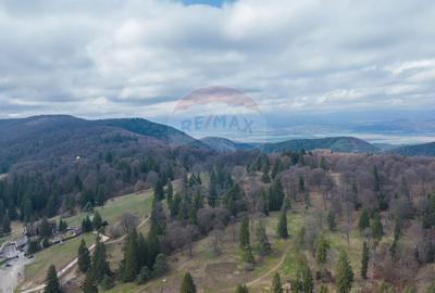 Teren Poiana Brasov, langa Stana turistica 1872mp, PUZ case/ pensiuni - 1