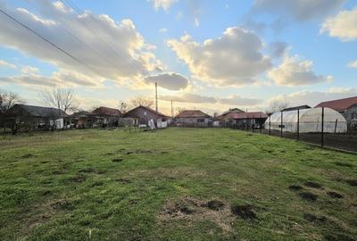 Teren Construcții intravilan de 1467 mp, în Lumina