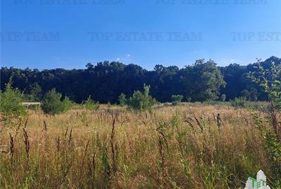Casa cu teren 3579mp in com. Cascioarele, Jud. Giurgiu - 6