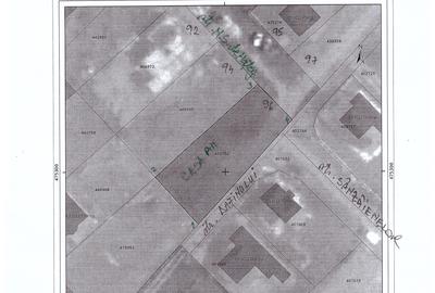 678 mp. str. N.Stoica de Hateg nr.96 - 4