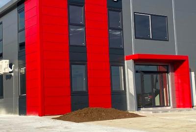 Proprietar Hala cu rampa de inchiriat 593mp Parc TBM centura Chiajna Chitila - 16