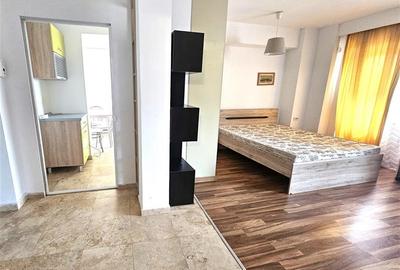 Semicentral, Carrefour Market, apartament mobilat si utilat - 10