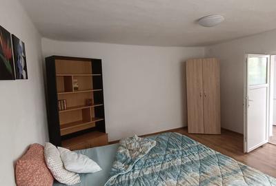 Casa de inchiriat cu 2 camere, mobilata si utilata, curte, Alba Iulia - 3