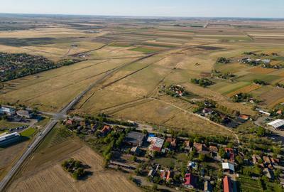 Hală industrială cu multiple destinații în Nădlac - 47
