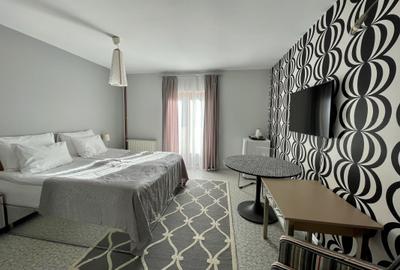 De vanzare Boutique Hotel Rocker's Inn, locatie functionala, zona Cheile Nerei - 10