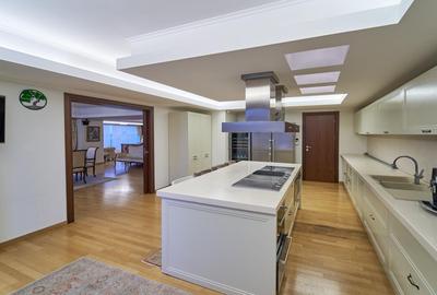 Penthouse for rent- 4 bedrooms- Fabrica de Glucoza - 9
