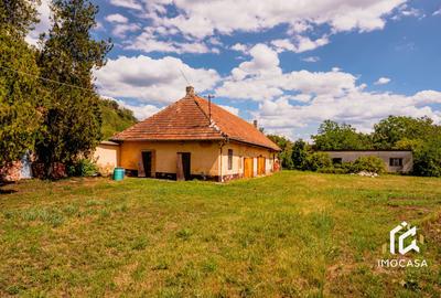 Vila Conac boieresc contelui Fabia 1920 de vânzare Păuliș Arad 2,4 ha - 6