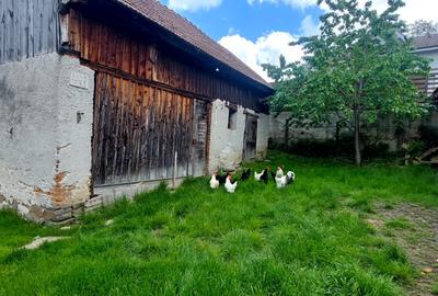 Casa 4 camere suprafata 81mp, teren 512mp spre vanzare in Saliste - 3