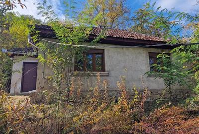 Resita Casa cu Teren privat 4670 Mp. - 22