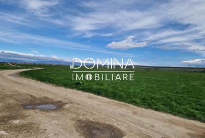 Vânzare teren extravilan 25.254 mp, situat în localitatea componentă Preajba - 5