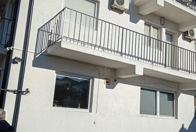 Proprietar vand doua vile in zona Calea Plevnei - 4