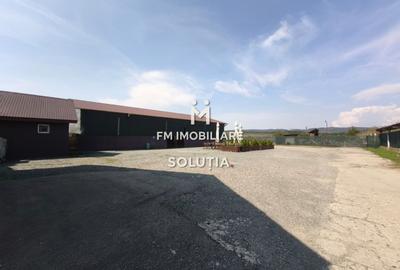 Complex industrial  cu teren 18,672 mp Târgu Lăpuș - 15