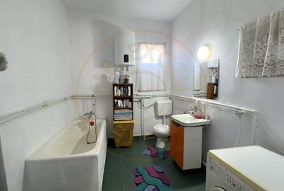 Casa 4 camere, Teren 3.862 mp Str. Traian Nr.99 - Carei - Comision 0% cumparator - 8