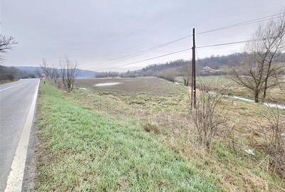 Teren 3.500mp, Grigoreni, 50m la DN2G - 3