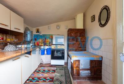 Casa si teren 3365mp Sascut - 19