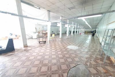 Hala + spatiu birourii ,situat in Targu Jiu, Bld Ecaterina Teodoroiu - 1