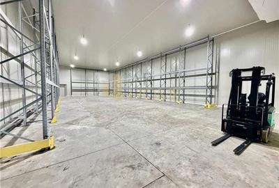 Hale noi cu refrigerare, 500 mp, acces TIR, Nord, Ploiesti - 6