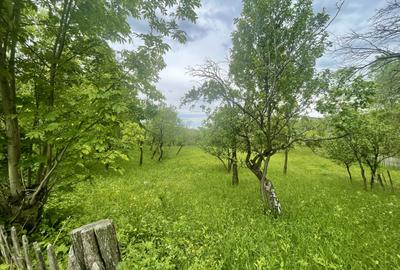 Teren intravilan Sotrile 6762 mp - Investitie, camping, agroturism - 1