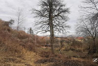 Teren pentru casa in Gheorghieni-Cluj(com. Feleacu), utilitati in fata terenului - 2