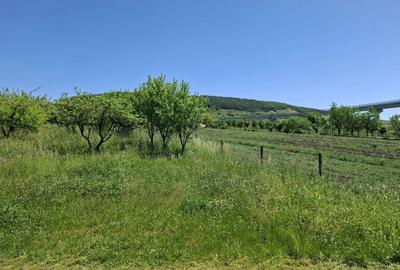 Teren de vanzare in Valcele - 2