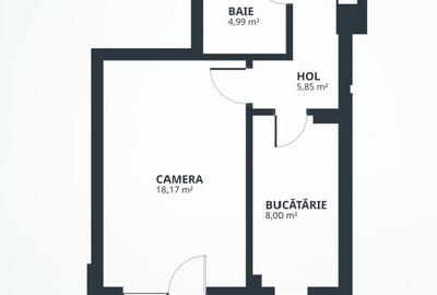 Apartament o camera Tatarasi - 42mp - mutare imediata. - 13