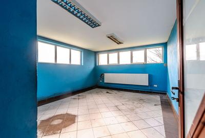 Hala industrială cu teren 10.495 mp – potențial supermarket, Lipova - 9