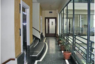 Matrix Office Building 300-1100 mp spatii birouri in Piata Unirii - 18